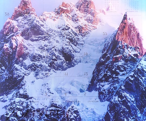 Mungo Thomson - Background Extinction at Galerie Frank Elbaz